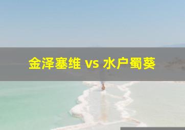 金泽塞维 vs 水户蜀葵